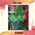 如意結DIY  (綠色)